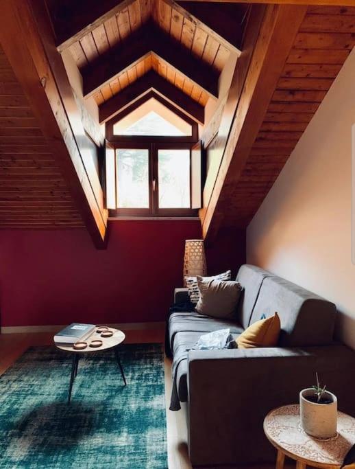 Charming 2.5Room Flat In Center Of モンフォルテ・ダルバ エクステリア 写真